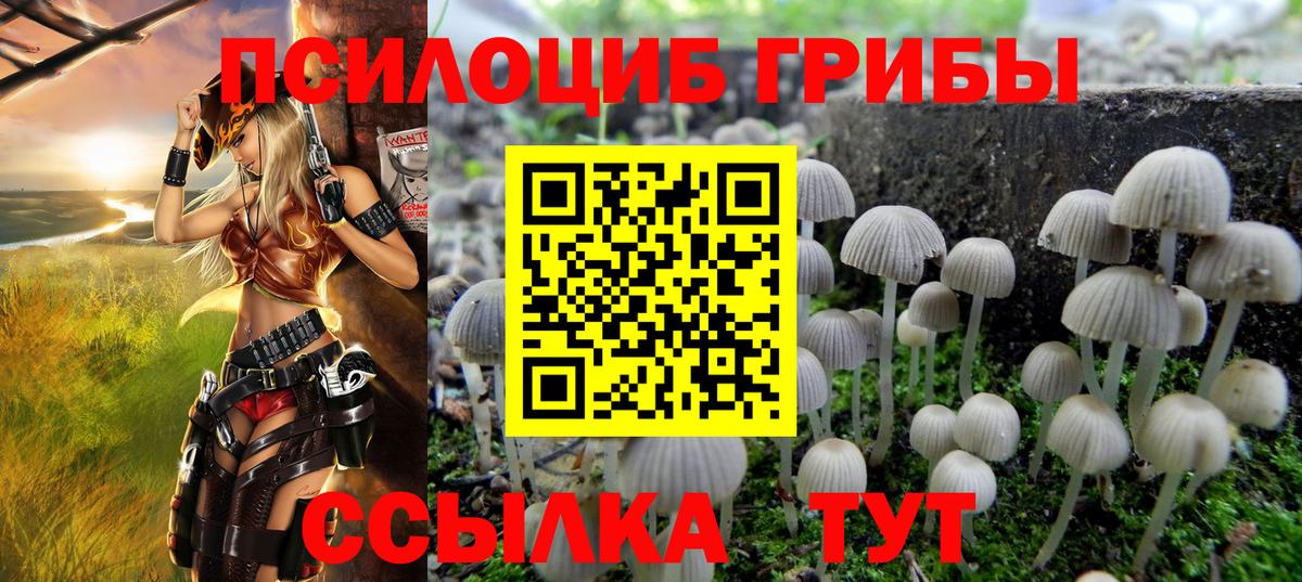 Псилоцибиновые грибы Cubensis Одинцово