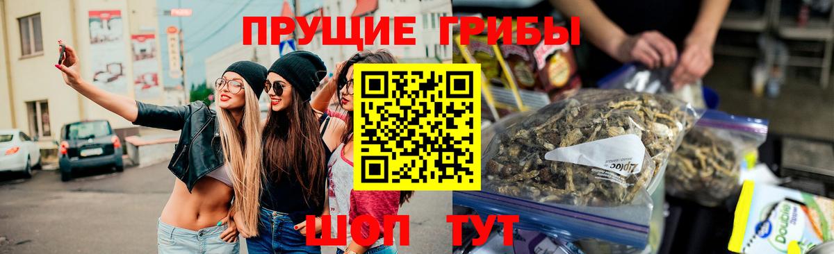 Галлюциногенные грибы Cubensis  Вход с VPN  Одинцово 